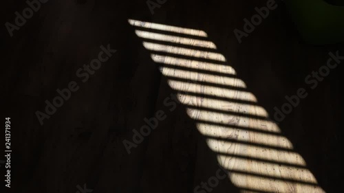 Sunshine on the floor