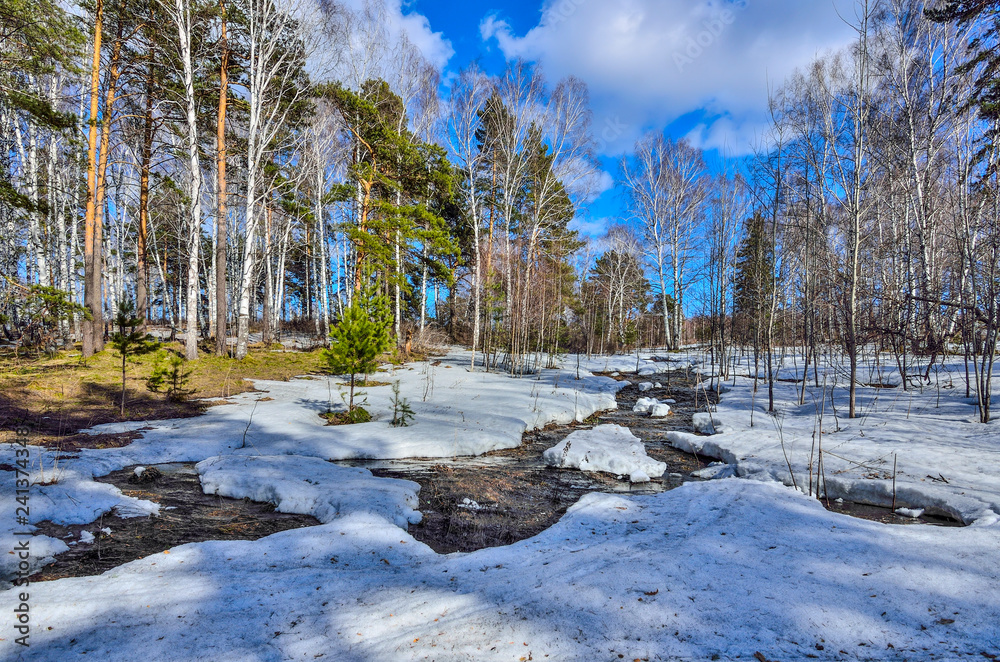 Fototapeta premium Early spring landscape in forest with melting snow and brook