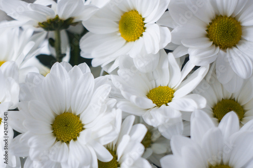 Bouquet of white flowers close up