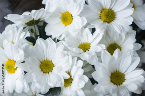 Bouquet of white flowers close up