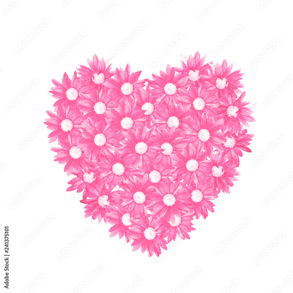 Fototapeta premium Heart of chrysanthemum flowers painted in watercolor isolated on white background.