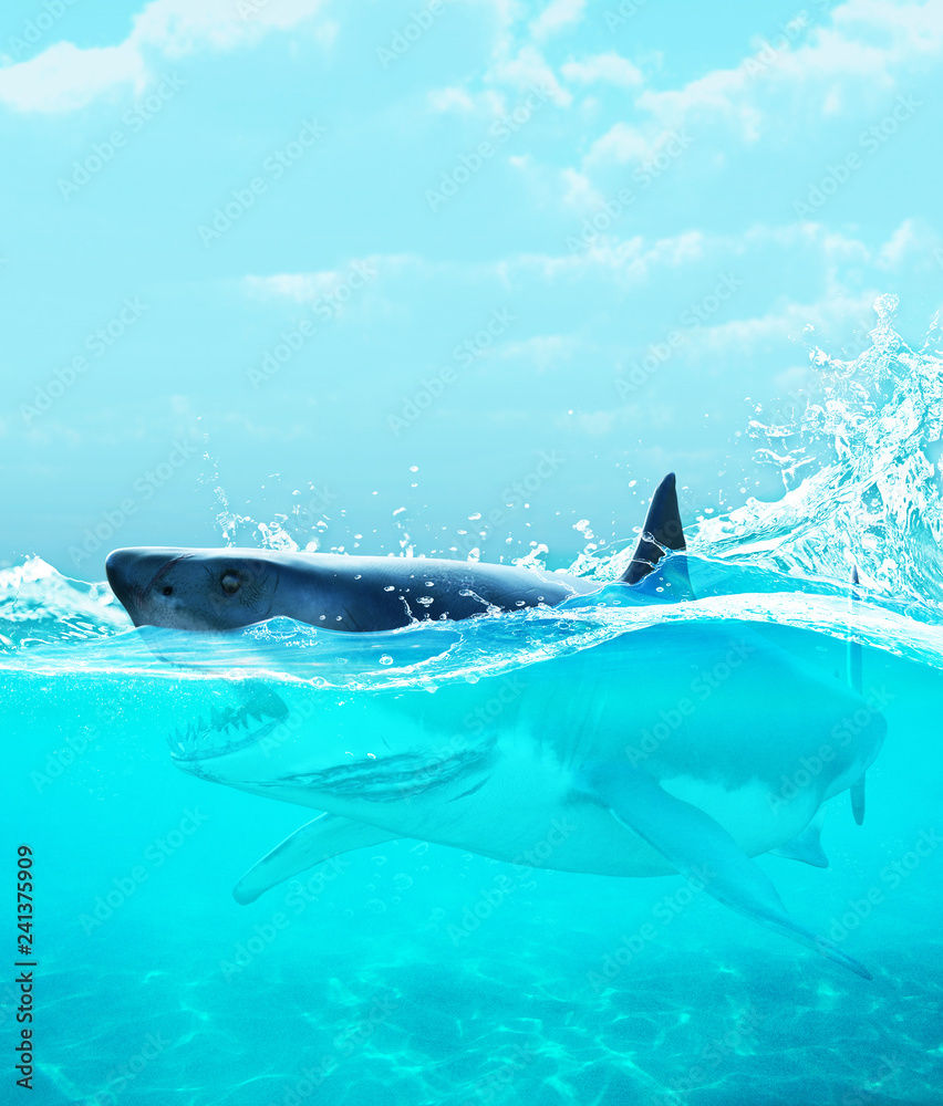Fototapeta premium Shark under water,3d illustration