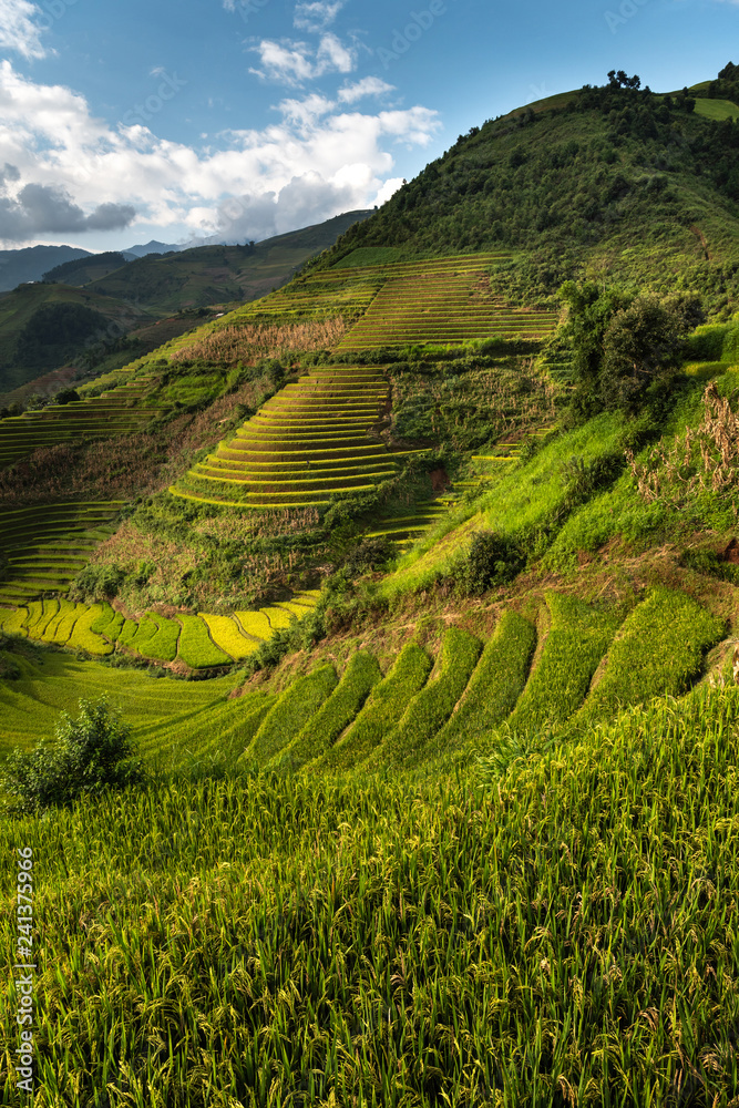 Rice terrace Mountains in Mu can chai, Vietnam
