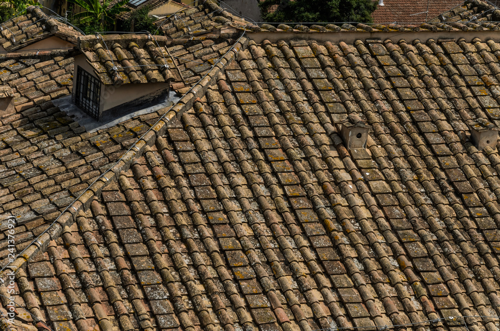 Naklejka premium Antique tile roof on the house