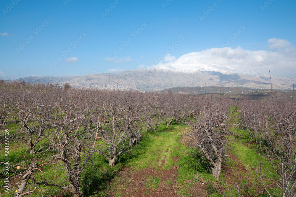 Mount Hermon, upper Galilee, Israel