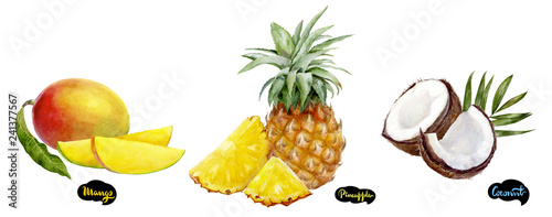 Coconut  pineapple  mango set watercolor hand drawn illustration.