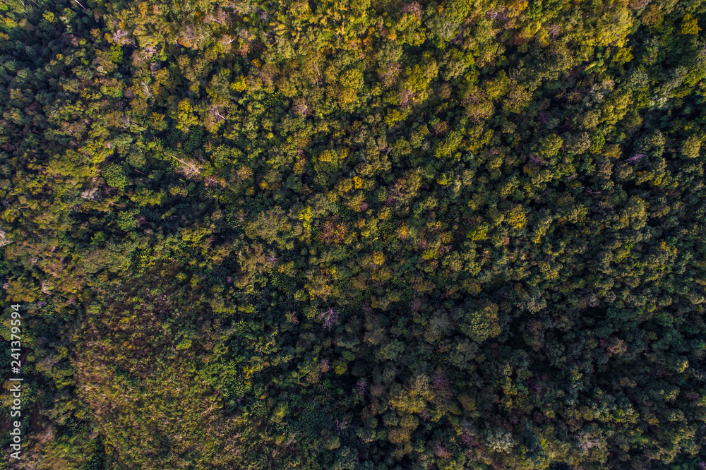 Mountain green tropical forest aerial view Mountain green tropical forest aerial view