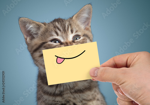 happy cat portrait with funny smile and tongue