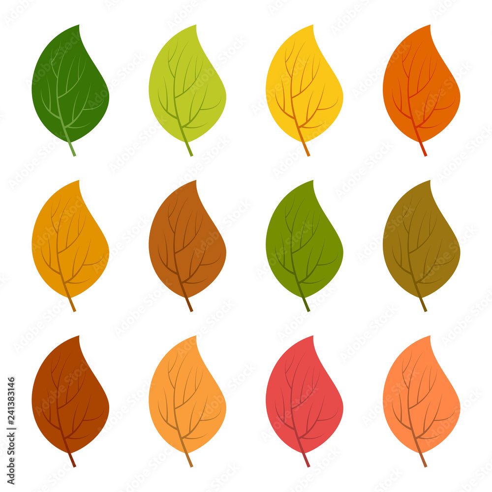 twelve autumn leaves in different autumn colors twelve autumn leaves in different autumn colors