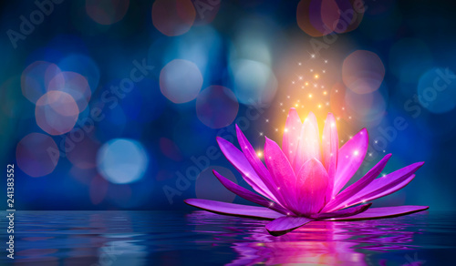 Obraz na plátně lotus Pink light purple floating light sparkle purple background