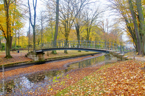 Bridge over the canal in the autumn park. © scena15