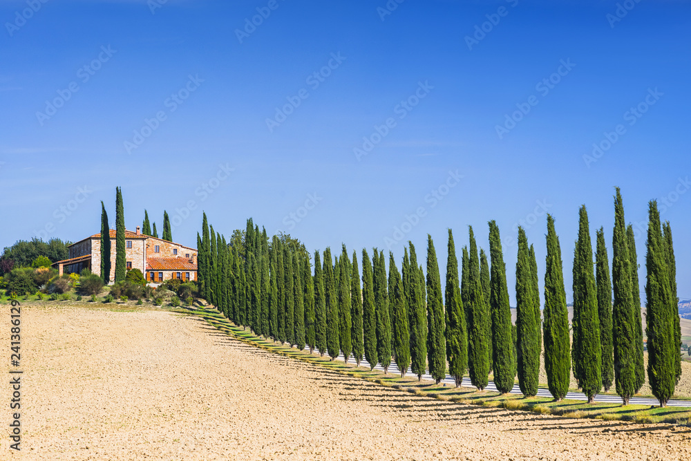 Fototapeta premium Beautiful landscape in Tuscany, Italy. Countryside rural farm with cypresses trees in Val d'Orcia region