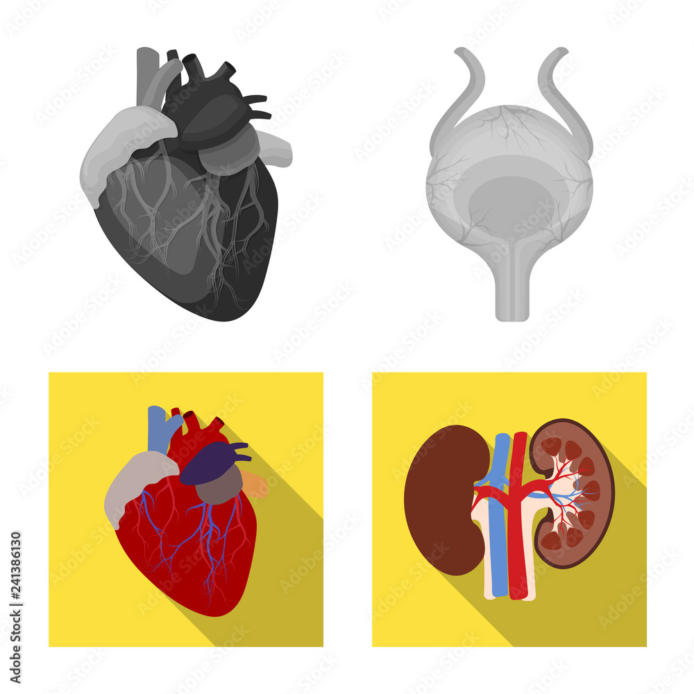 Isolated object of body and human logo. Set of body and medical vector icon for stock.