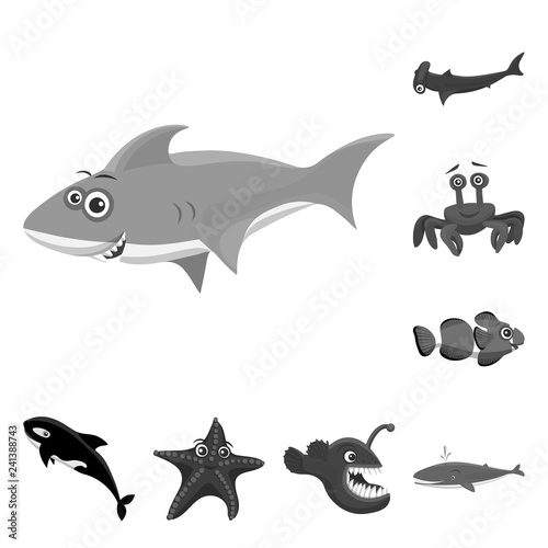 Vector illustration of sea and animal icon. Set of sea and marine stock vector illustration.