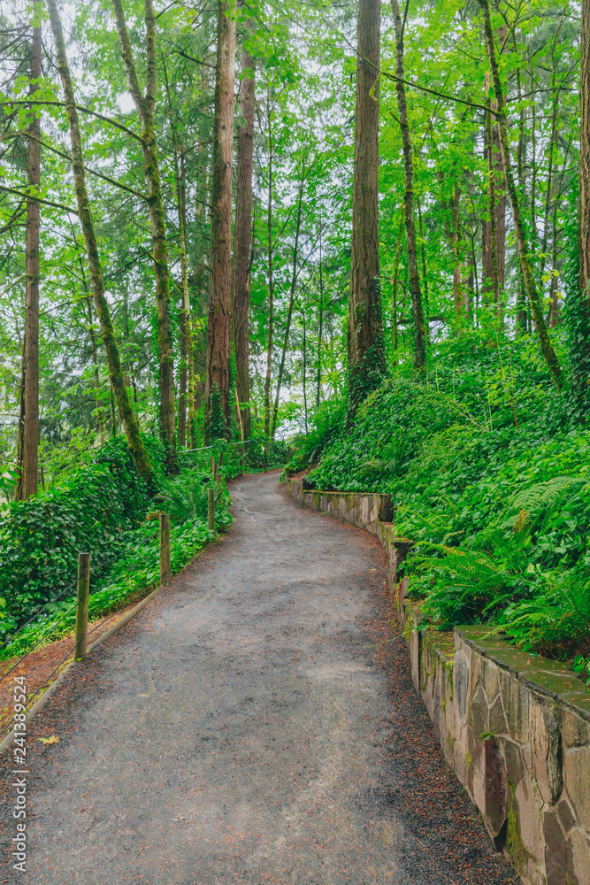 Footpath in woods in Washington Park, Portland, USA Footpath in woods in Washington Park, Portland, USA