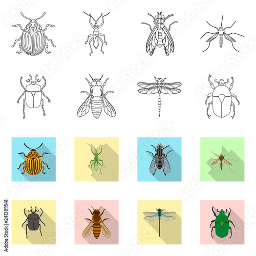 Isolated object of insect and fly symbol. Collection of insect and element stock vector illustration.