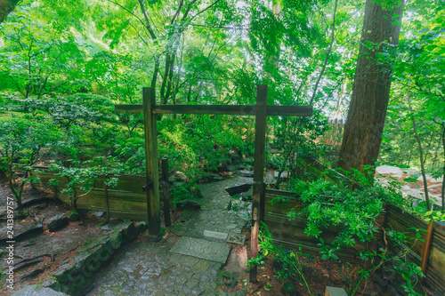 Wooden gate among trees at Portland Japanese Garden  Portland  USA