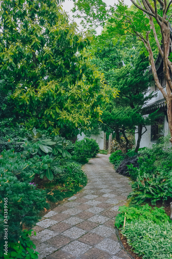Path among trees in Lan Su Chinese Garden, in downtown Portland, USA Path among trees in Lan Su Chinese Garden, in downtown Portland, USA