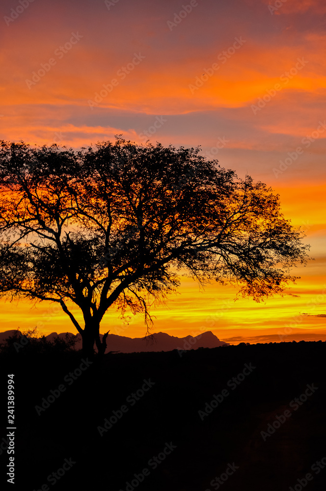 African Sunset