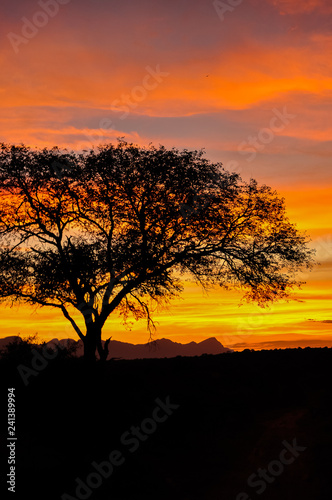 African Sunset