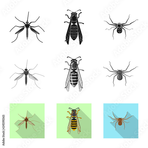 Vector design of insect and fly icon. Set of insect and element stock vector illustration. © Svitlana