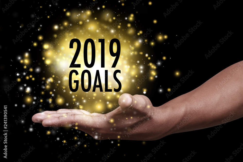 Hand showing goals 2019.