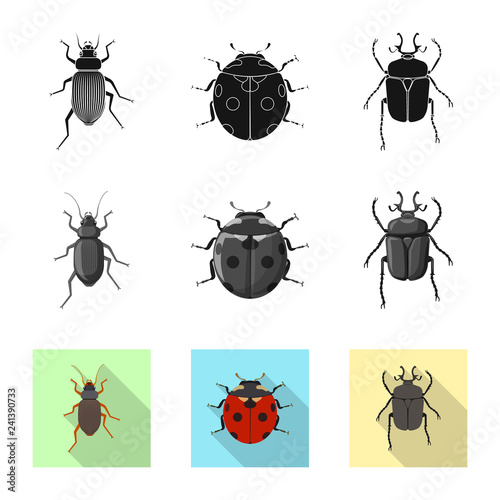 Isolated object of insect and fly sign. Collection of insect and element vector icon for stock.