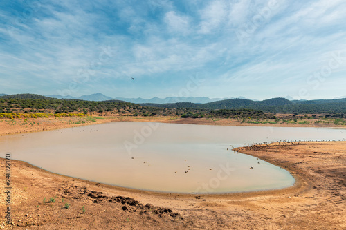 Small lake view in game reserve in South Africa © Dmitrii