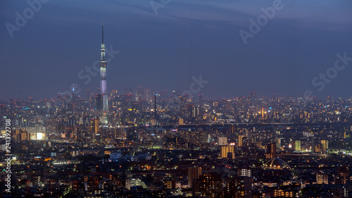 Tokyo city view with Tokyo sky tree © shirophoto
