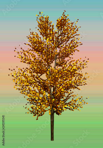 Tree with yellow leaves on a gradient background. Autumn foliage. Preparation of a tree for the designer. 3D Illustration. © Andrei