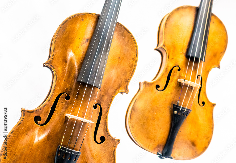 Fototapeta premium violins