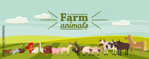 Farm animals and birds set in trendy cute style, including horse, cow, donkey, sheep, goat, pig, rabbit, duck, goose, turkey, rooster,ram, dog, cat, bull and chicken, isolated on rural landscape, farm
