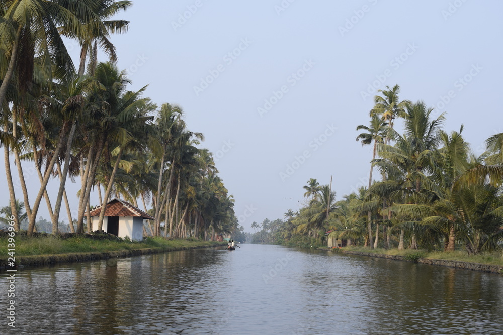 Alleppey, Kerala, India - December 31, 2018: Backwaters view.