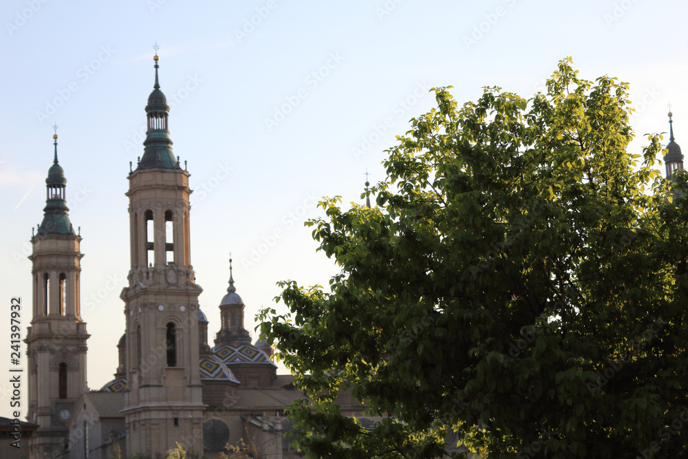 A landscape of christian Pilar Cathedral next to a green leaves tree during a sunny summer day in Zaragoza, Aragon region, Spain