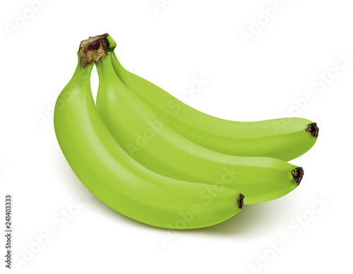 Bunch of green bananas isolated on white background. Vector 3d illustration
