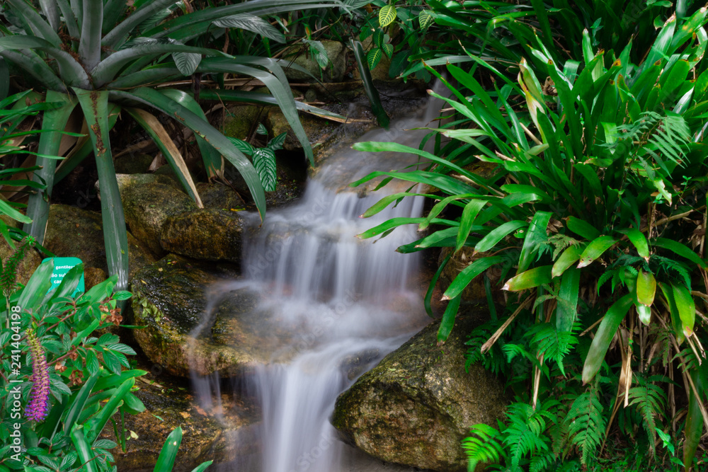 Cascata no parque Cascata no parque