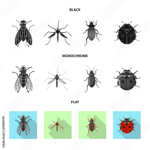 Vector illustration of insect and fly logo. Collection of insect and element stock vector illustration.