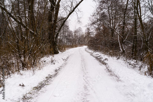 Puszcza Knyszyńska w zimowej szacie © podlaski49