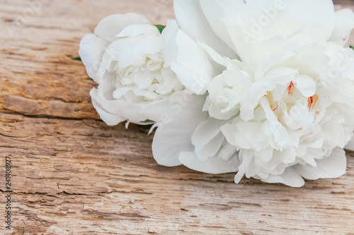 peonies on wooden background