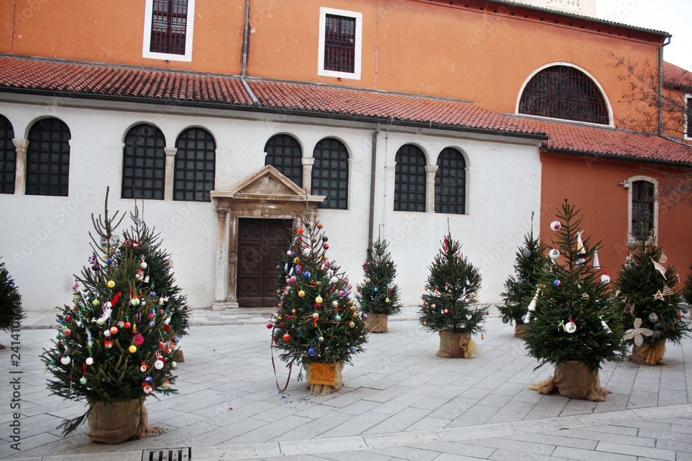 Christmas trees near St. Simon's Church. Zadar. Croatia.	
