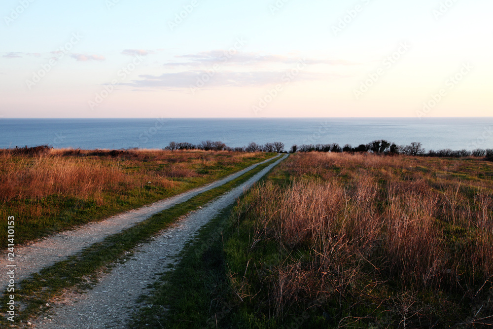 Dirt road through the field to the sea