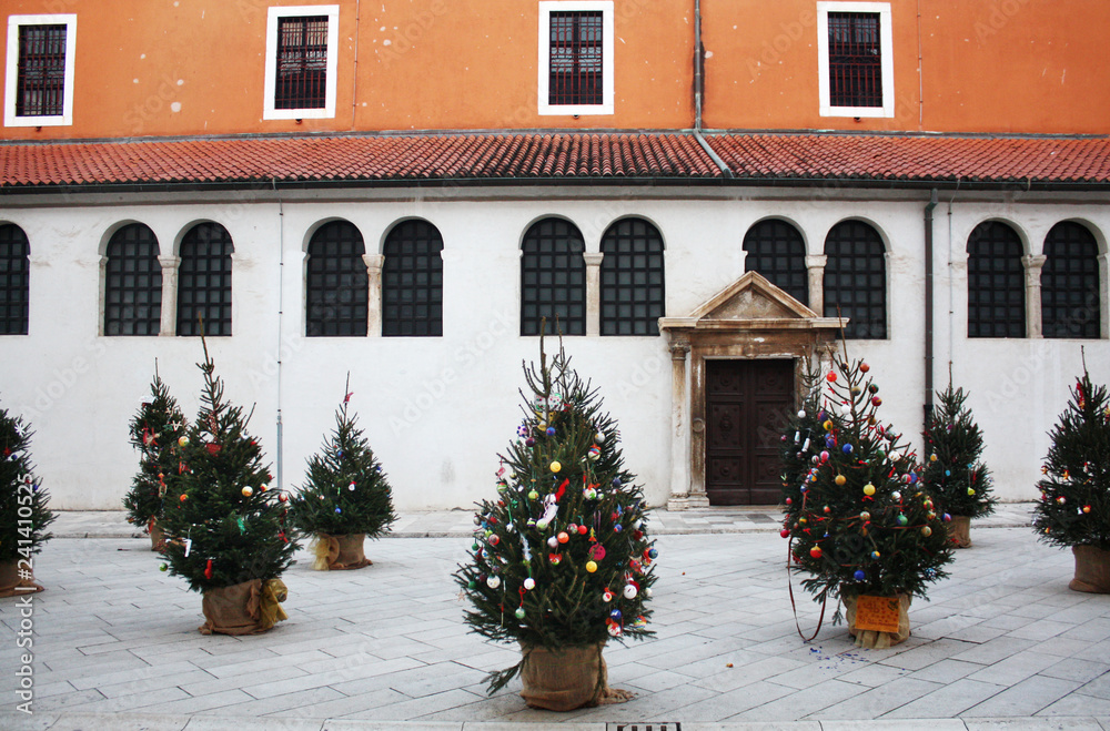 Christmas trees near St. Simon's Church. Zadar. Croatia.	