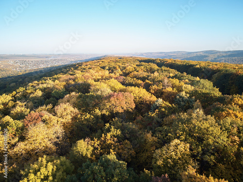 Aerial shot of the autumn forest