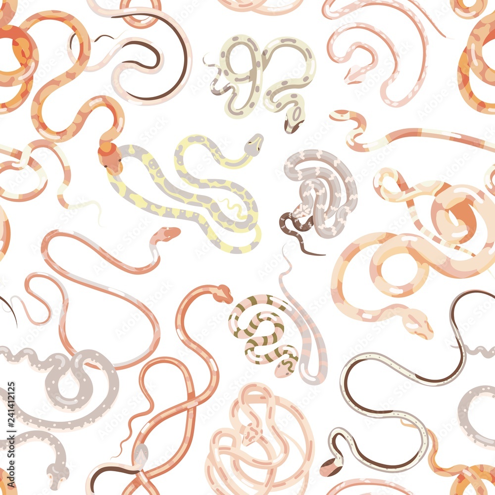Seamless pattern with various exotic snakes on white background. Backdrop with tropical carnivorous reptiles or serpents. Colorful vector illustration in flat style for wrapping paper, fabric print. Seamless pattern with various exotic snakes on white background. Backdrop with tropical carnivorous reptiles or serpents. Colorful vector illustration in flat style for wrapping paper, fabric print.