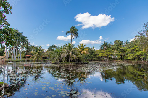 Beautiful day view of palms and lake near Criadero de Cocodrilos, Cuba