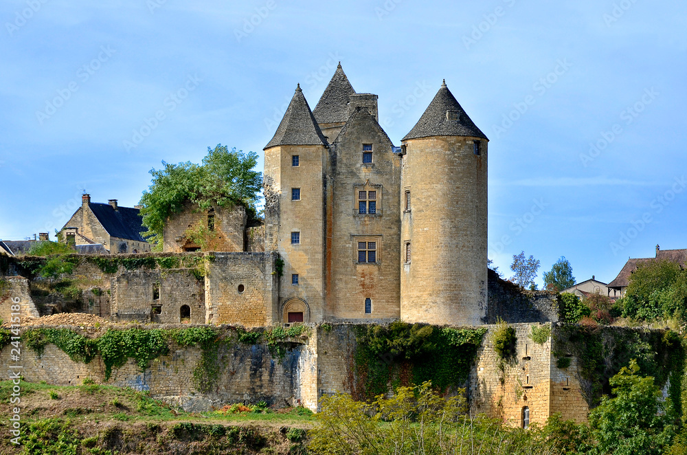 Castle of Salignac-Eyvigues, a commune in the Dordogne department in Nouvelle-Aquitaine in southwestern France.