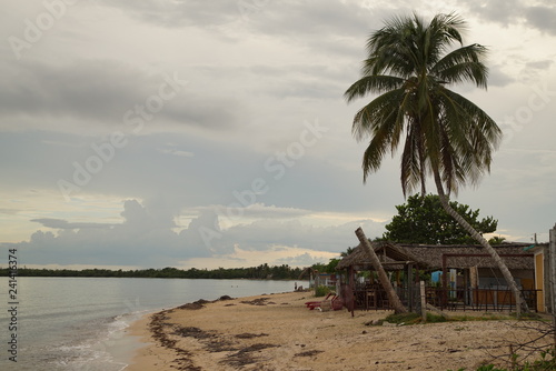 A wooden hut under palm trees on a beach in Cuba