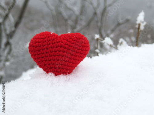 Red knitted heart in the snow on winter forest background  Valentines day card. Symbol of romantic love  concept of blood donation  cold weather