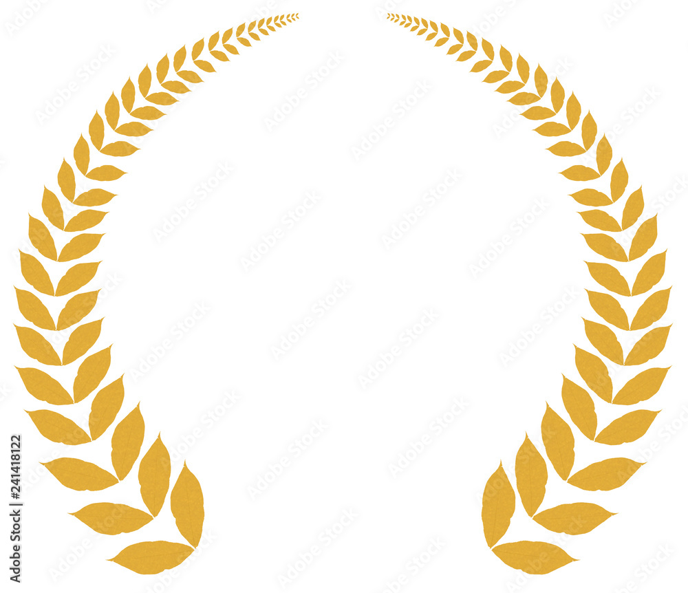 Fotografie couronne de feuilles d'or