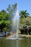 The fountain and rainbow in the pond